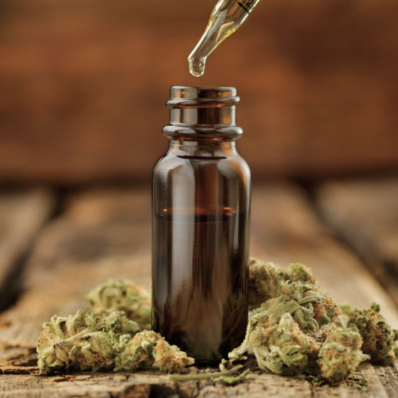 industry-cannabis.jpg